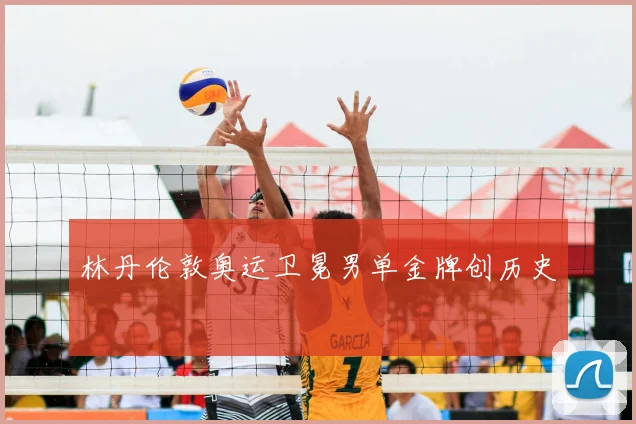 林丹伦敦奥运卫冕男单金牌创历史